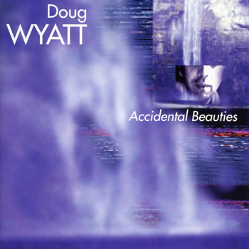 Accidental Beauties cover